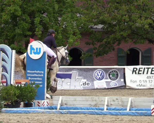 Reitturnier Haren-Raken 2022