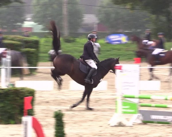 Springturnier Lüdinghausen 2021