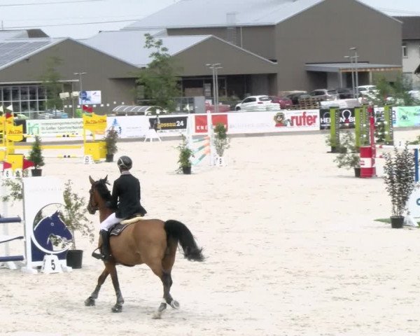 Reitturnier Gossau (Stall Sommersweid) 2022