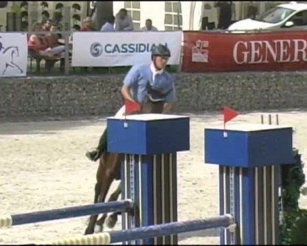 jumper Salina 132 (Hanoverian, 2003, from Contendro I)