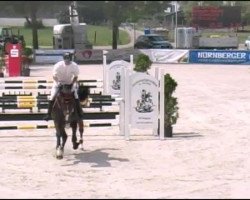 stallion Corthago 3 (Bavarian, 2006, from Contendro I)