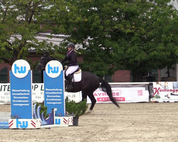Reitturnier Haren-Raken 2022