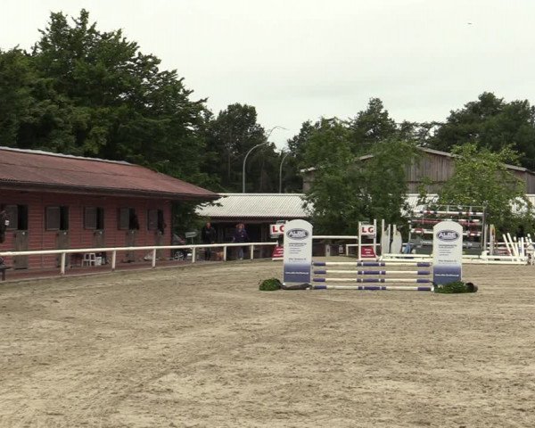 Reitturnier Haren-Raken 2022