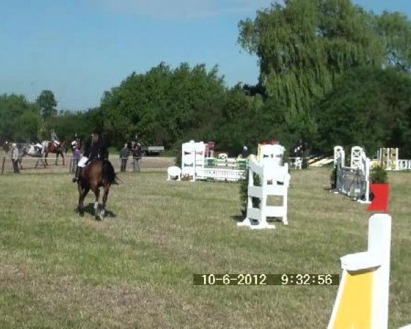 broodmare Chira 3 (Oldenburg, 1993, from Cordial Medoc)