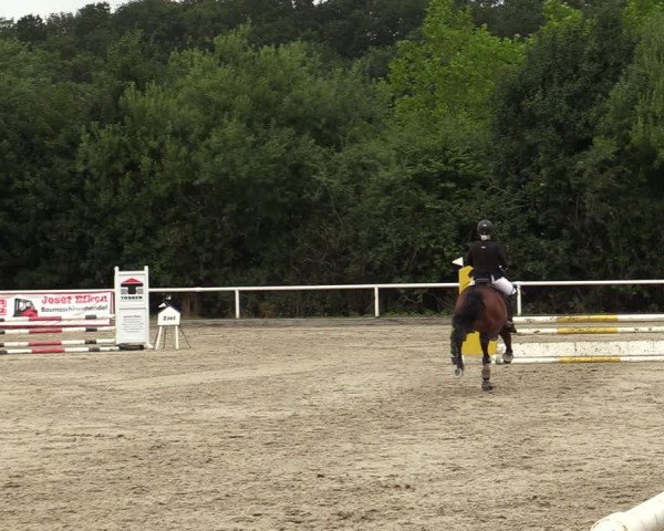 Reitturnier Haren-Raken 2022