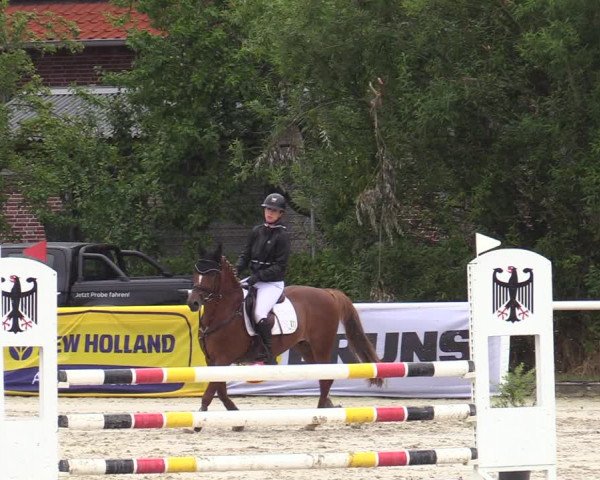 Reitturnier Haren-Raken 2022