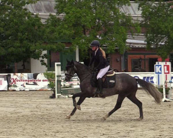 Reitturnier Haren-Raken 2022