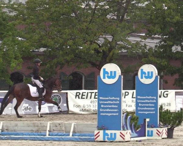 Reitturnier Haren-Raken 2022