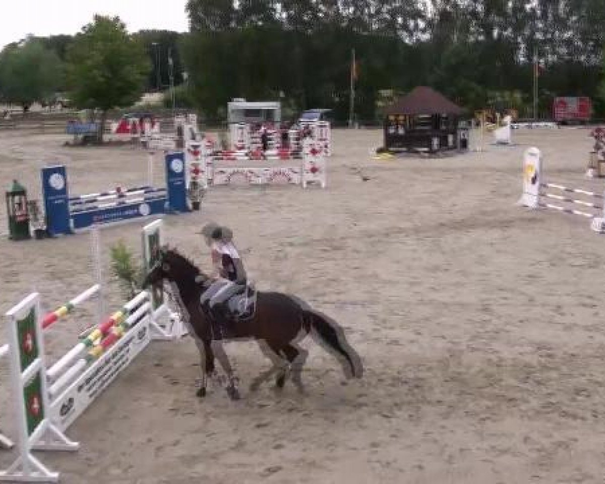 Zuchtstute Valentina (Deutsches Reitpony, 1982, von Valentino)
