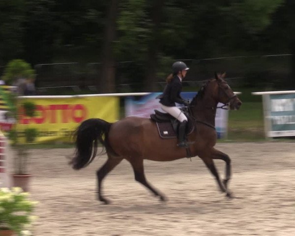 Reitturnier Prussendorf 2022