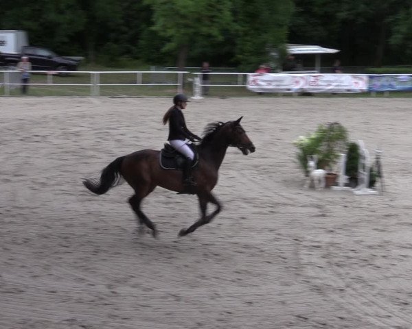 Reitturnier Prussendorf 2022