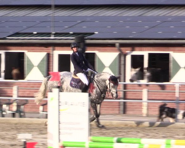 Springturnier Lüdinghausen 2021
