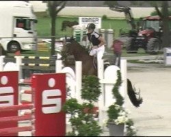 broodmare Farina K (Hanoverian, 1996, from Fabriano)