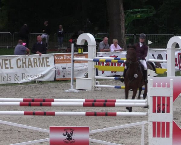 Reitturnier Prussendorf 2022