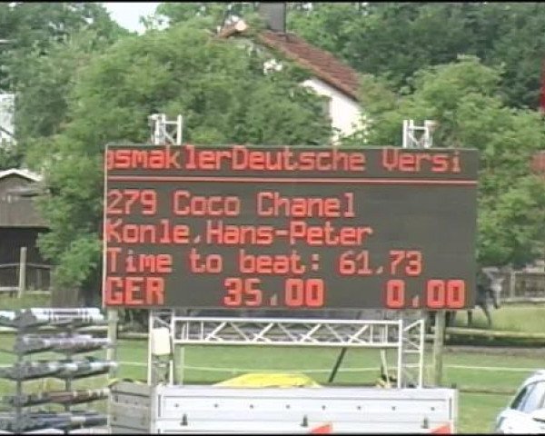 broodmare Coco Chanel 125 (Belgian Warmblood, 2003, from Chin Chin)