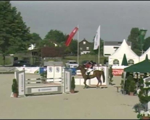 jumper Unlimited 18 (Holsteiner, 2004, from Caretino)