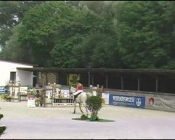 jumper Lightning 59 (Holsteiner, 1998, from Leandro)