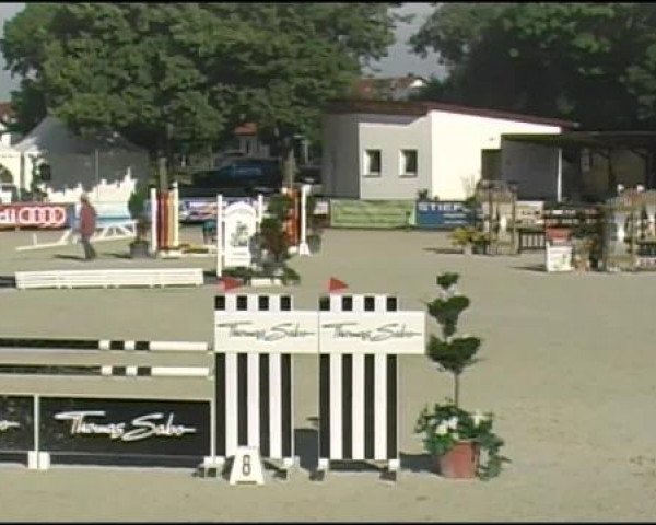 jumper Chanel 331 (Bavarian, 2002, from Camposanto)