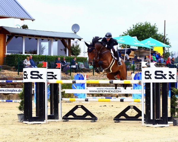 jumper CAPERITO (Holsteiner, 2014, from Carambole)