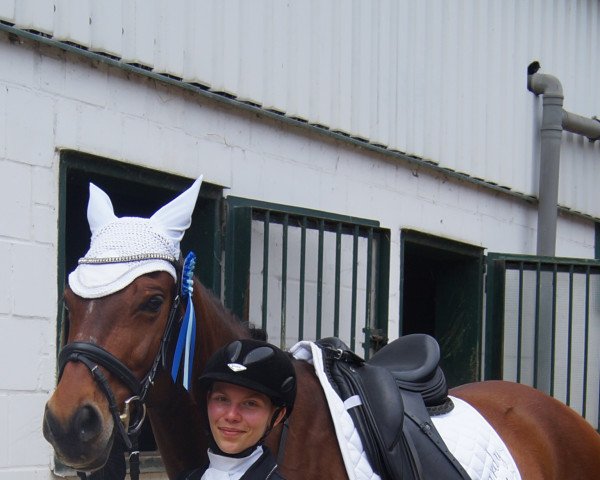 dressage horse Guardy (KWPN (Royal Dutch Sporthorse), 2011, from Diabeau)