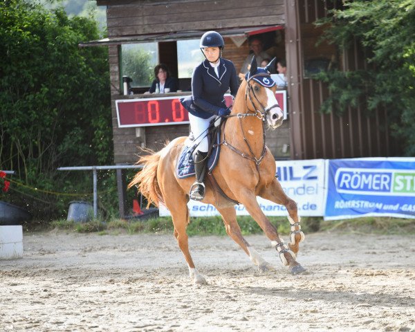 Springpferd Kyandro 2 (KWPN (Niederländisches Warmblut), 2015, von Emilion)