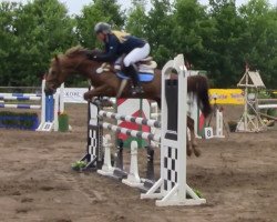 jumper Tiesto 5 (Pony without race description, 2006)