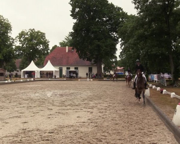 Reitturnier Redefin 2022