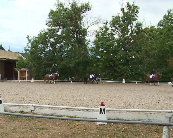 Reitturnier Hof-Haidt/Ofr. 2022