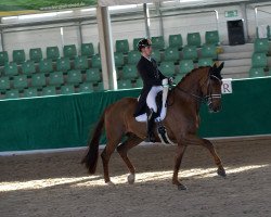 dressage horse Funky Jazz GV (KWPN (Royal Dutch Sporthorse), 2010, from Jazz)
