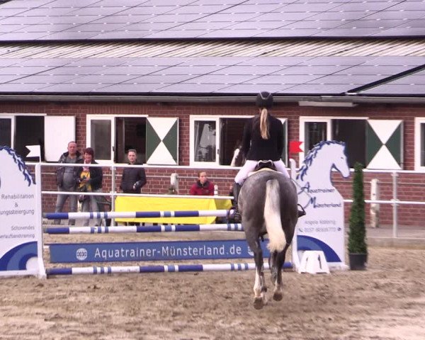 Springturnier Lüdinghausen 2021