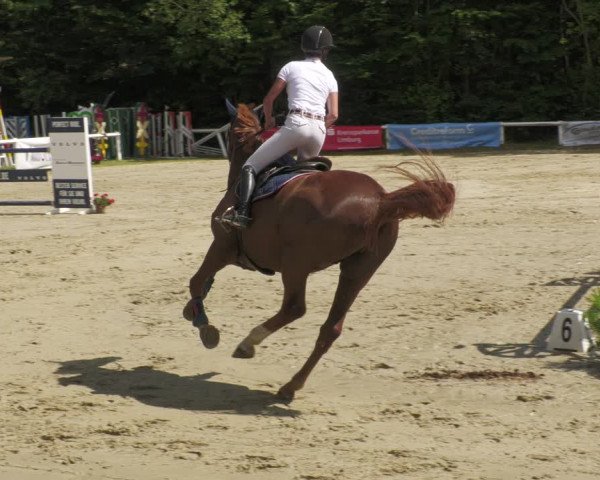 Reitturnier Hünfelden-Kirberg 2022