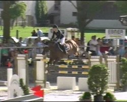 jumper Mayar (KWPN (Royal Dutch Sporthorse), 2003, from Nassau)