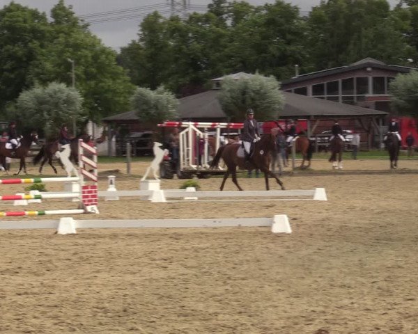 Reitturnier Münster-Roxel 2022