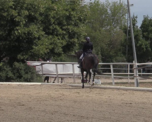 Reitturnier Kottingbrunn 2022