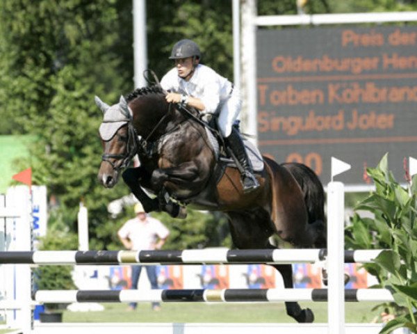 Deckhengst Singulord Joter (Holsteiner, 2000, von Singular Joter II)
