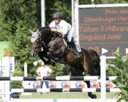 Deckhengst Singulord Joter (Holsteiner, 2000, von Singular Joter II)