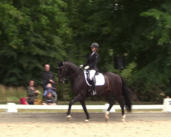 Reitturnier Redefin 2022