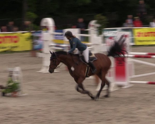Reitturnier Prussendorf 2022