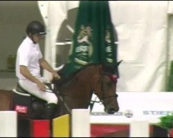 broodmare Cleardown (Holsteiner, 2006, from Clearway)