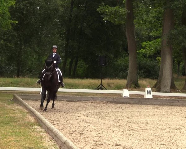Reitturnier Redefin 2022