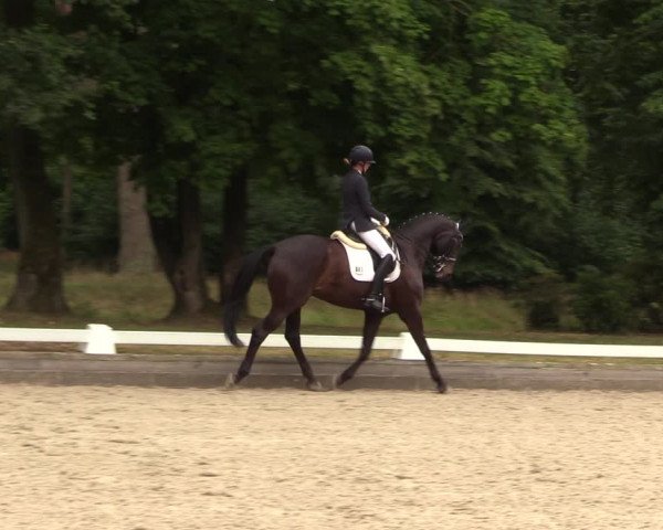 Reitturnier Redefin 2022