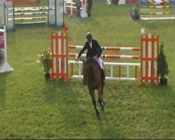 jumper Cortez 53 (German Sport Horse, 2003, from Cardenio)