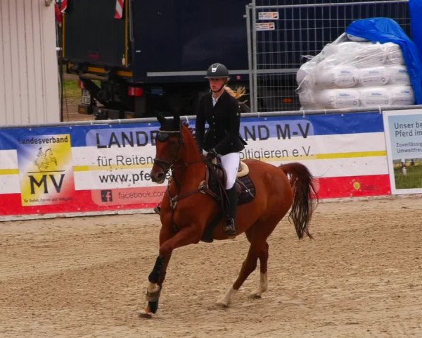 Reitturnier Redefin 2022