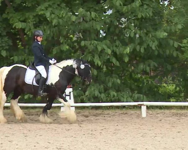 Reitturnier Hof-Haidt/Ofr. 2022