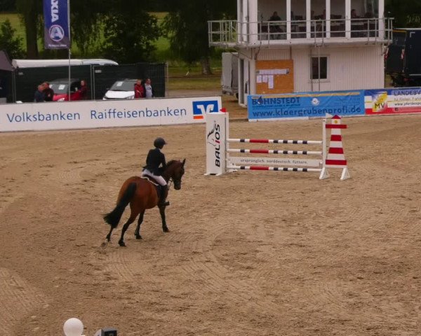 Reitturnier Redefin 2022