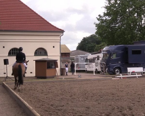 Reitturnier Redefin 2022