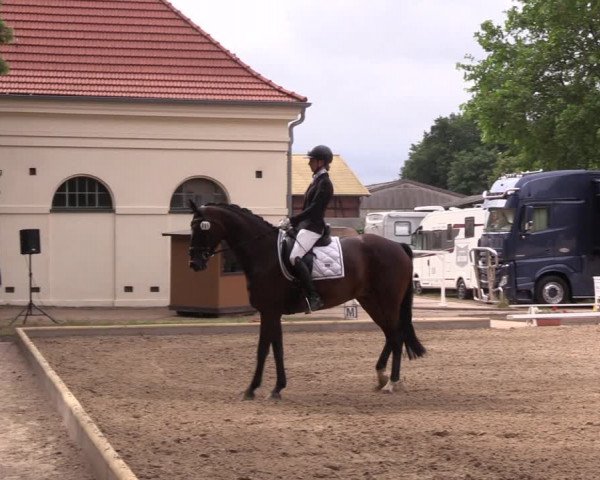 Reitturnier Redefin 2022