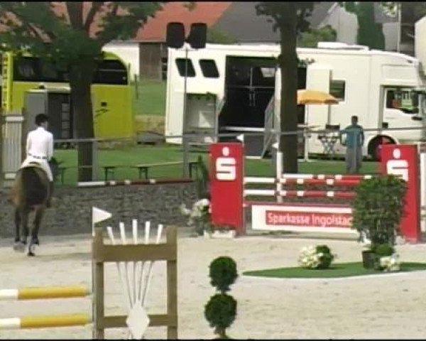 jumper Craig (Holsteiner, 1993, from Calando I) jumper Craig (Holsteiner, 1993, from Calando I)