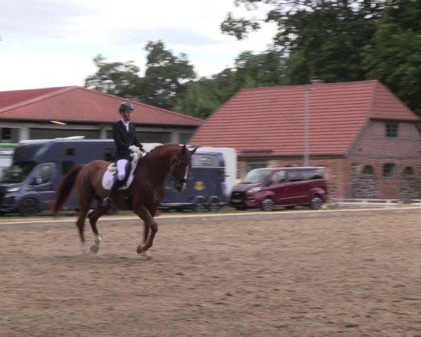 Reitturnier Redefin 2022