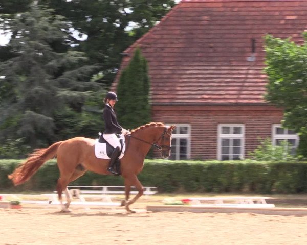 Reitturnier Redefin 2022